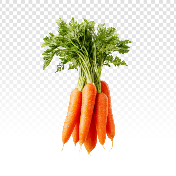 carrot