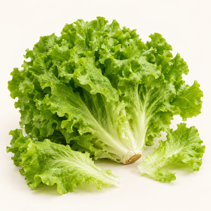 Lettuce