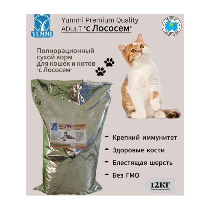 YUMMI Premium Quality Adult для взрослых лосось 12 кг - YU0039