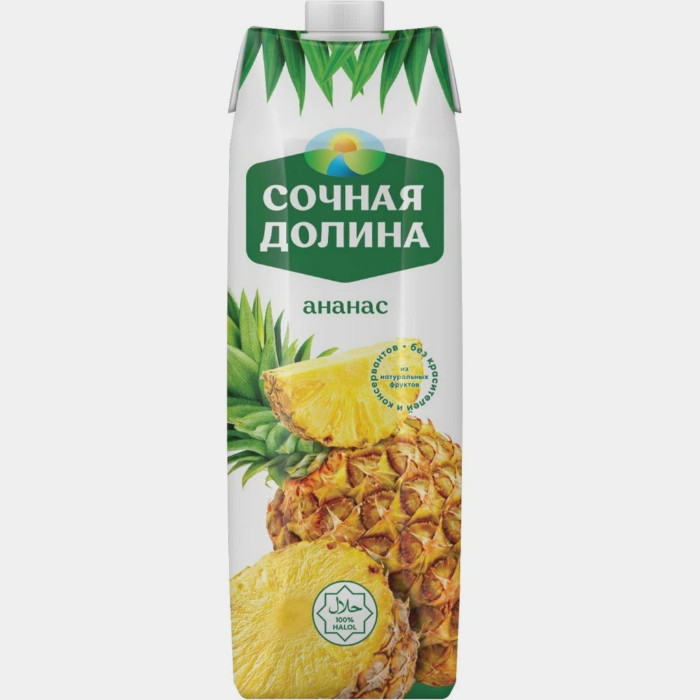 «Sochnaya Dolina» Ananas nektari, 1 l