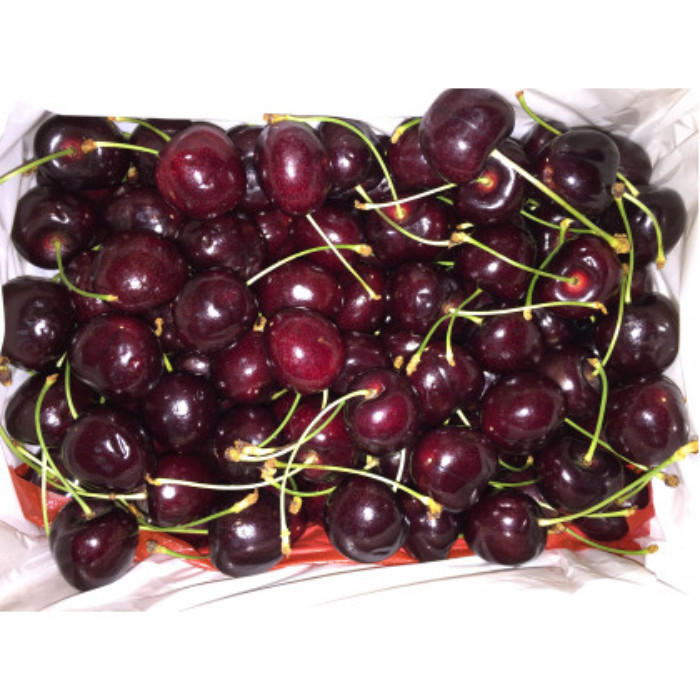 Gilos 1 kg