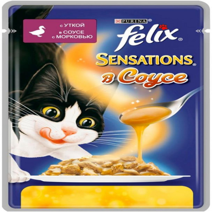 Korm FELIX Ayt qiyovida sabzi bilan 85g
