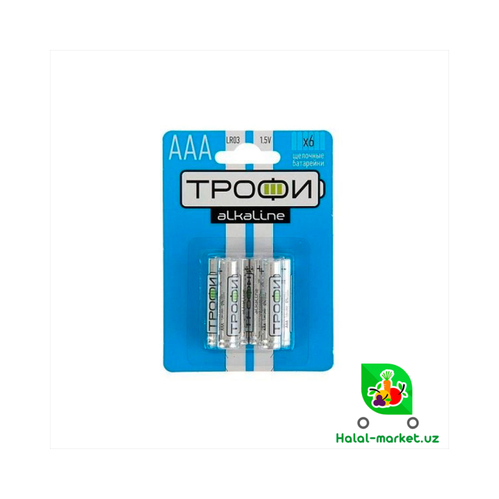 TROFI AAA-LR03-6BL batareyasi (6 dona)