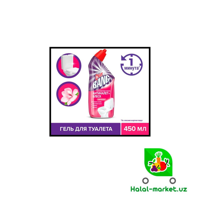 Antinalet+Blesk CILIT BANG Kuch Bahori 450ml