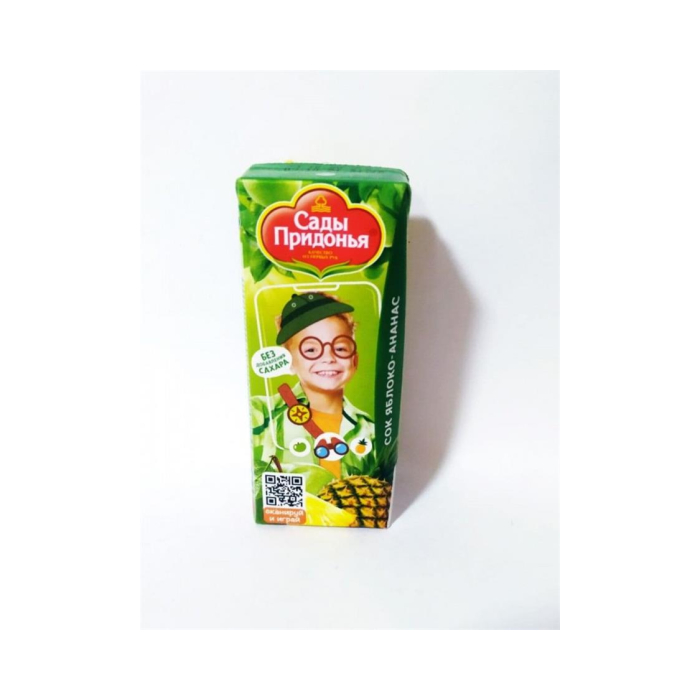 SADY PRIDON'YA Olma-Ananas 0,2l