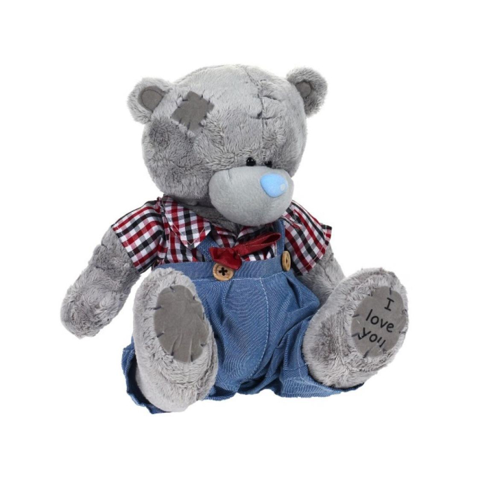 TEDDY в костюме (№12)