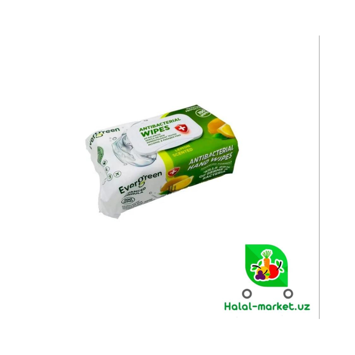 Ever Green 100 dona nam salfetkalar