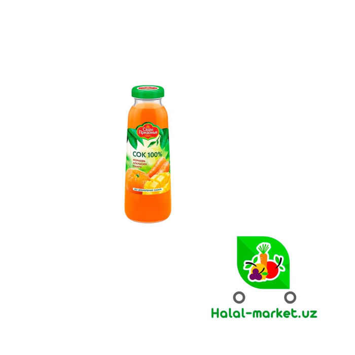 SADY PRIDON'YA Suyu Sabzi, Apelsin, Mango 0,3l s/b