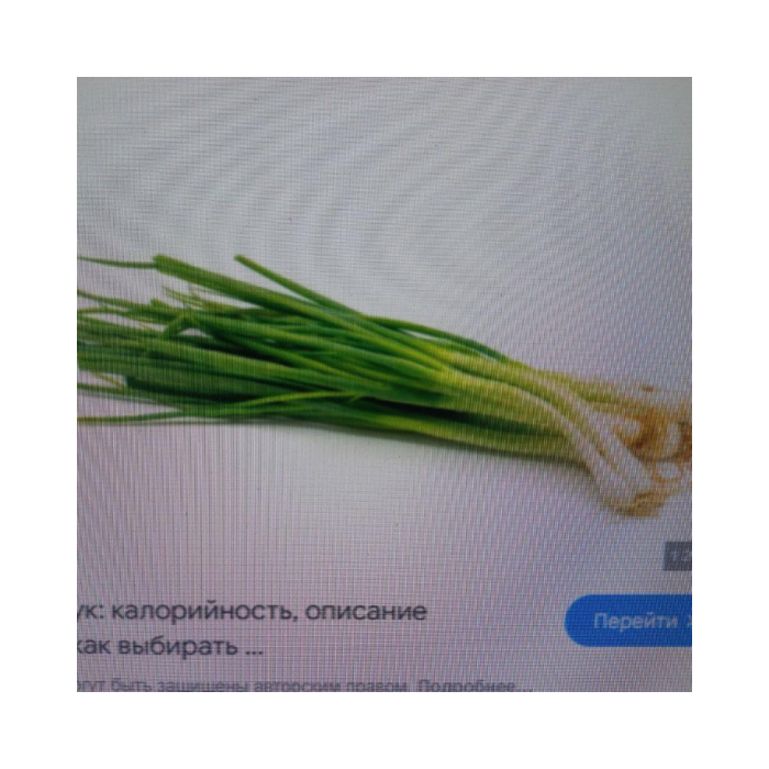 777ЗЕЛЕНЬ ЛУК ШТ