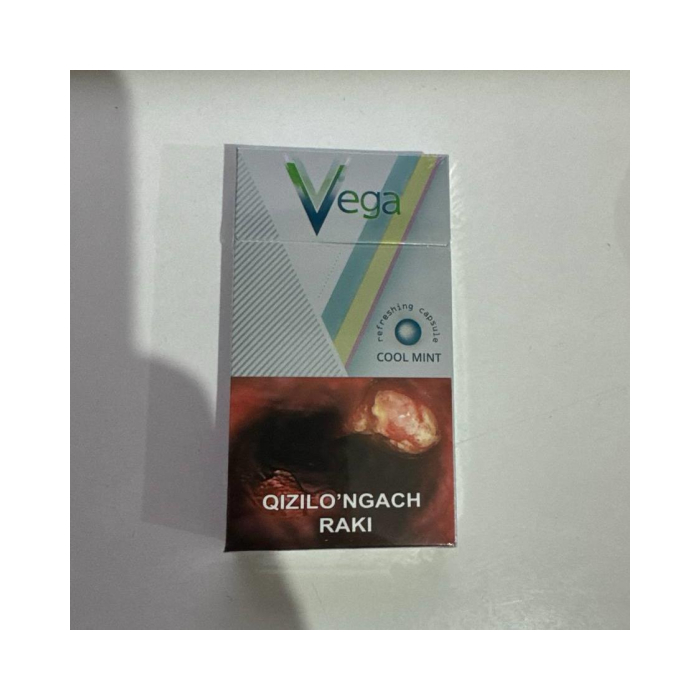 VEGA COOL MINT