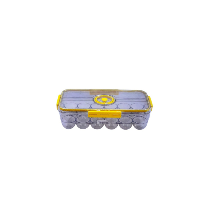 PLASTIC CONTAINER FOR EGGS