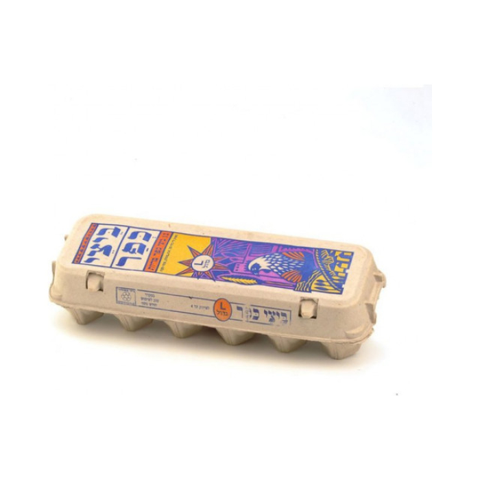 ביצים 12 יח L