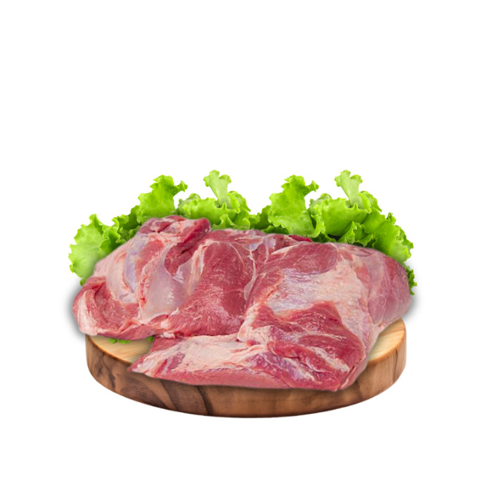 שולטר לבן