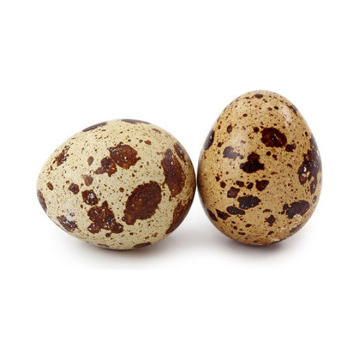 Shiloi eggs 12 pcs