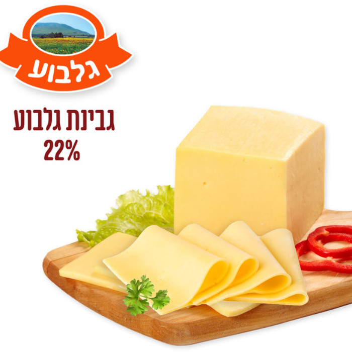 Галилея сыр 22%