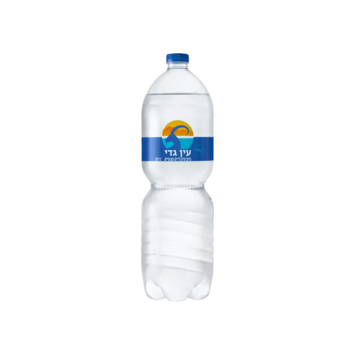 מיים עין גדי 2 ל