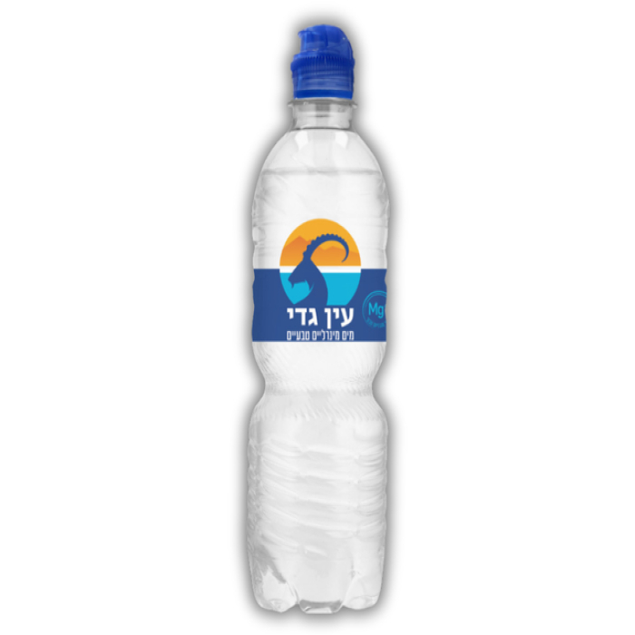 Ein Gedi Sport Mineral Water 750 ml