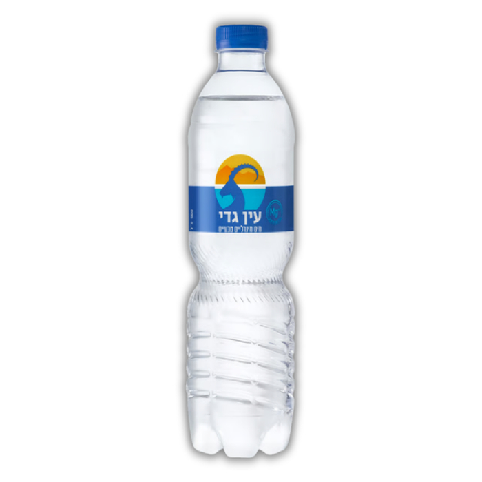 מים מינרליים עין גדי 500 מ״ל