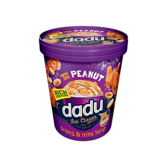 Vanilla cream ice cream with salted caramel and caramelized peanuts 250 grams