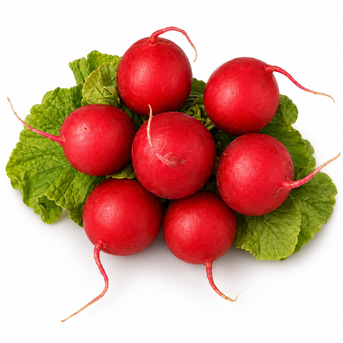 Radish