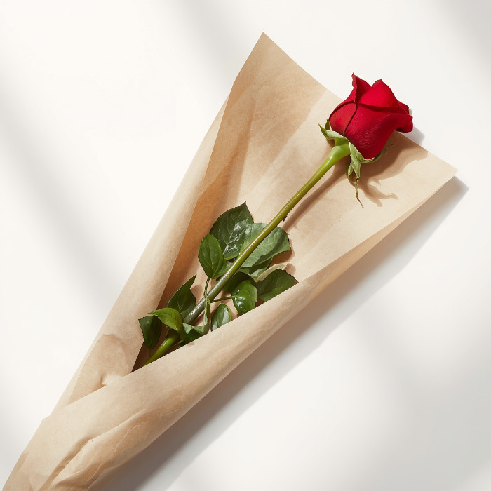 ერთი წითელი ვარდი