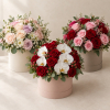 Flowers in boxes logo