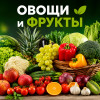 ОВОЩИ И ФРУКТЫ. logo