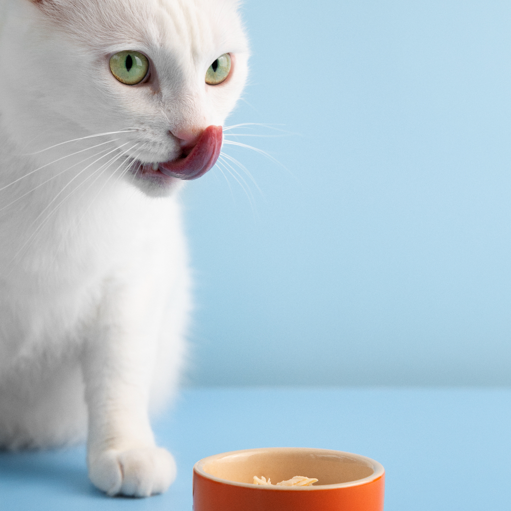 Ылғал тағамдар logo