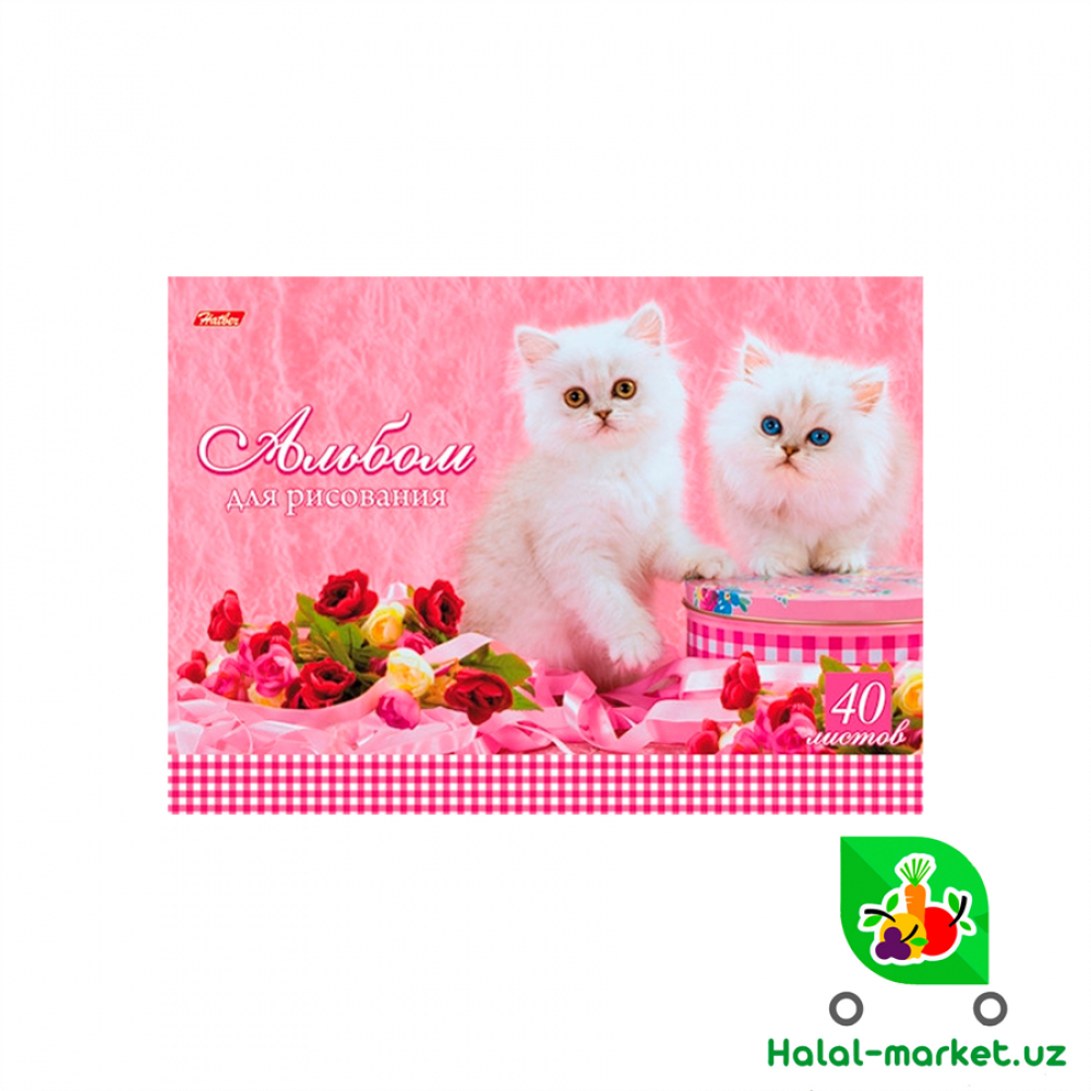 Альбом для Рисования 40л (простой)
