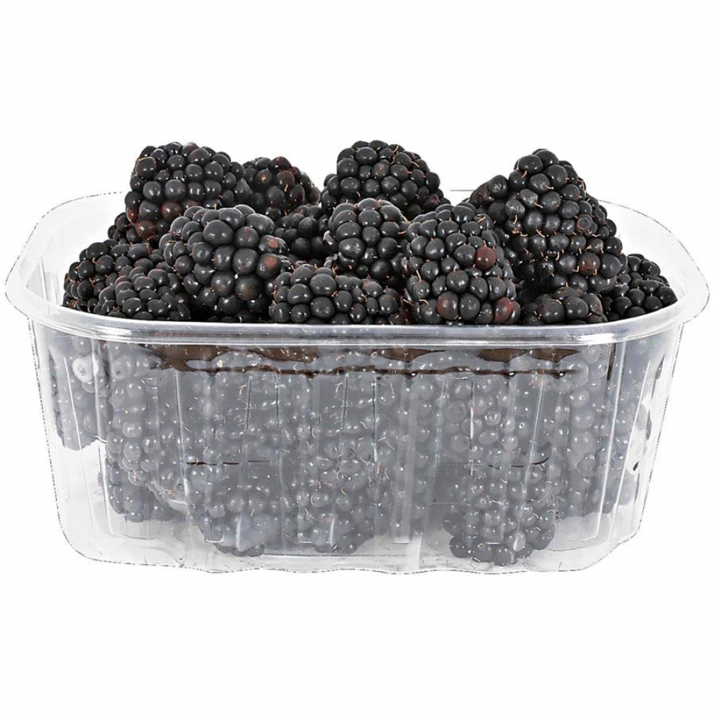 Ягода ЕЖЕВИКА (контейнер)