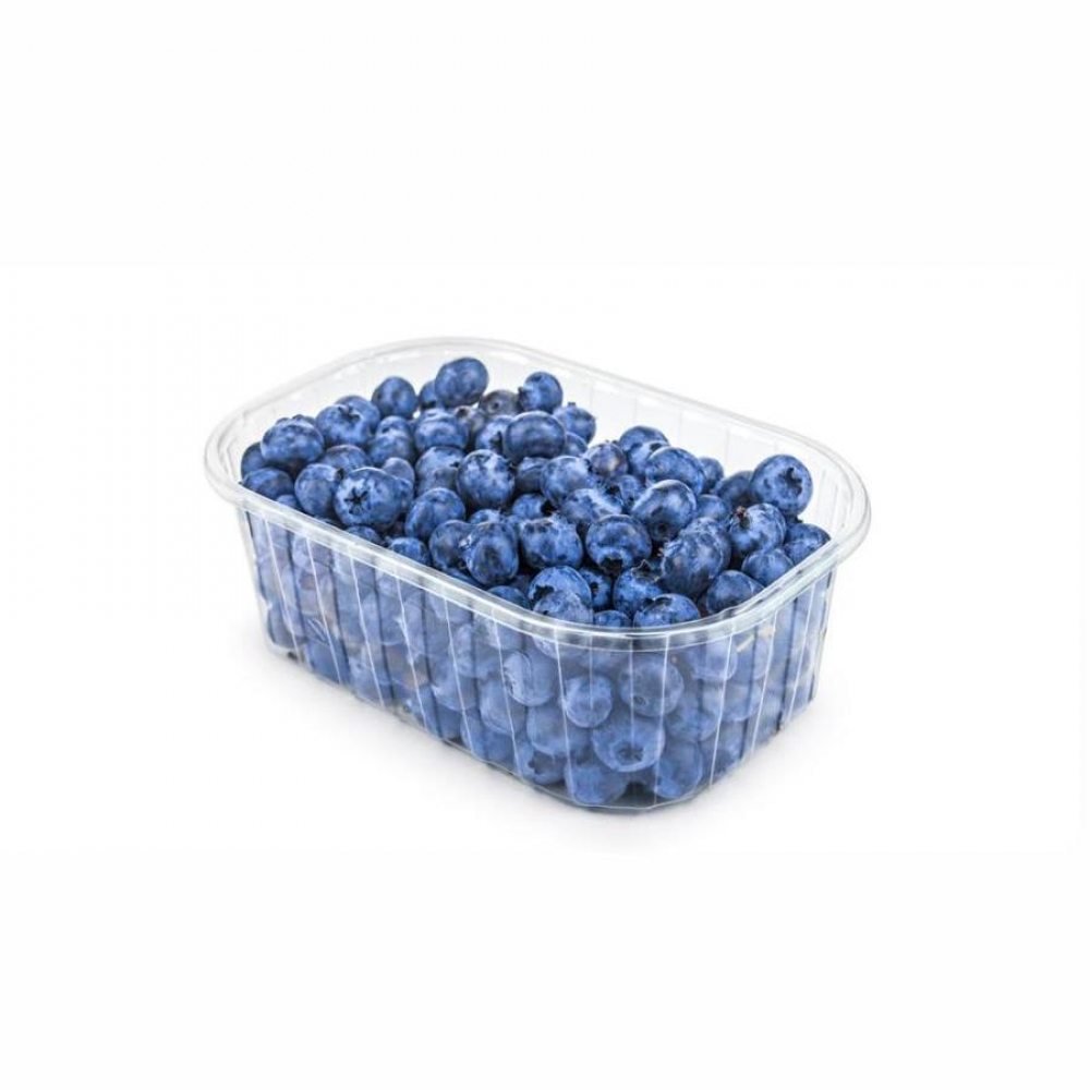 Фрукт Голубика (контейнер)