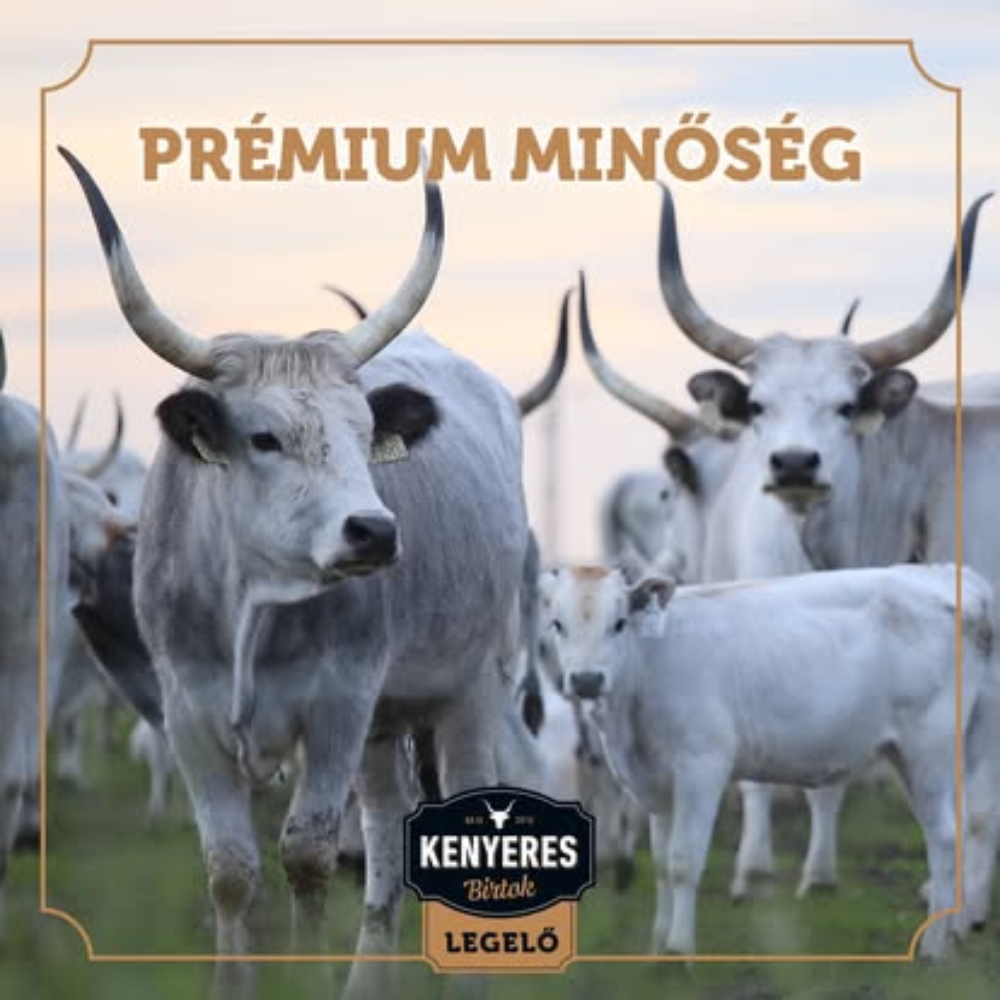 Другие продукты из венгерской серой коровы logo