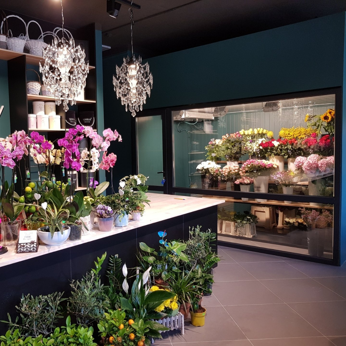 La floristería cover